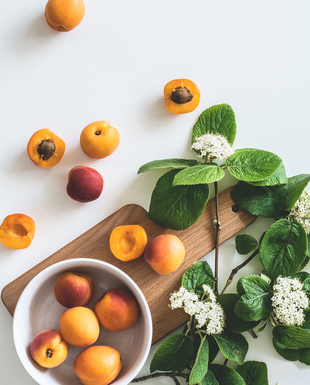 fruit and plants